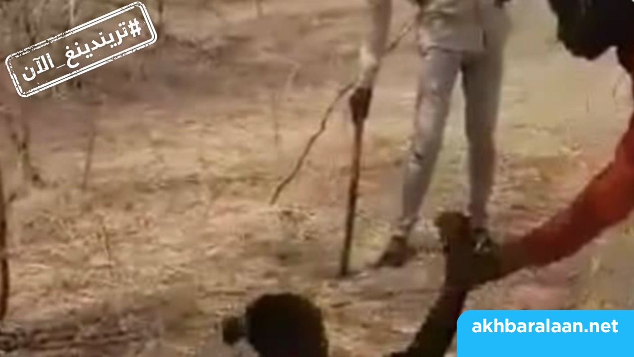 تريندينغ الآن 5-15 | اغتصاب فتاة النيل الأزرق يشعل موجة غضب في السودان