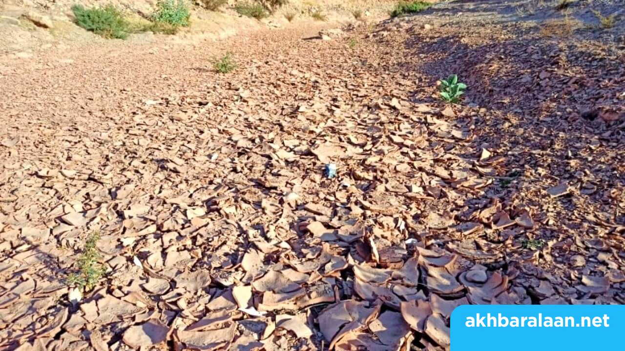 الجفاف يقضي على التنوع الفلاحي والبيولوجي بنواصر المغربية ويدفع سكانها للهجرة قسرًا