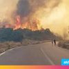 ارتفاع حصيلة ضحايا حرائق الجزائر إلى 5 قتلى