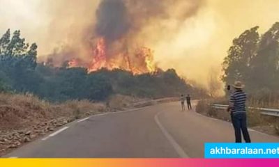 ارتفاع حصيلة ضحايا حرائق الجزائر إلى 5 قتلى