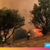 بعد خسائر ضخمة.. السيطرة على جميع حرائق تيزي وزو بالجزائر