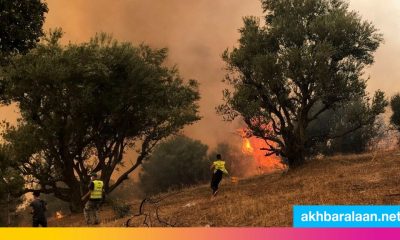 بعد خسائر ضخمة.. السيطرة على جميع حرائق تيزي وزو بالجزائر