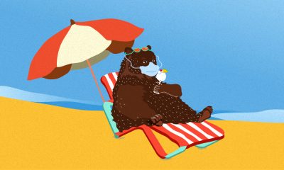 beach cat