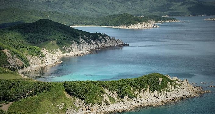 中俄最大界湖暴雪後呈現「流冰排」景象 - Sputnik 中國