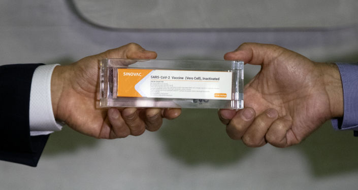 中國科興中維的首批新冠疫苗運抵巴西 - Sputnik 中國
