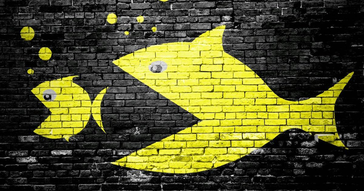 Plan.Net übernimmt Tech-Berater Future Marketing - ADZINE