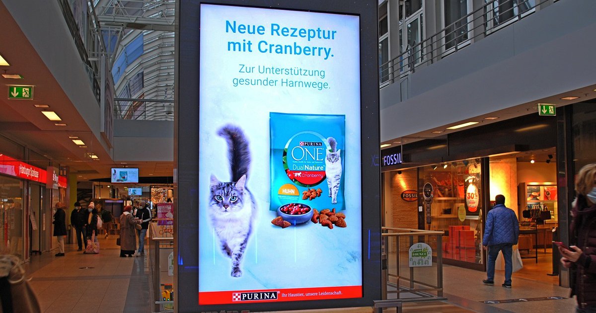 DOOH & Audio: Katzenfutter auf dem Screen und im Anschluss auf die Ohren - ADZINE