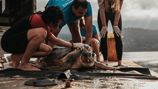 Estrella Damm estrena la segunda parte de su campaña veraniega | Marcas