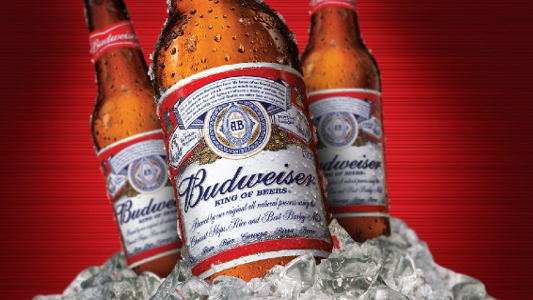 Budweiser recurso Julio 2017 MKN