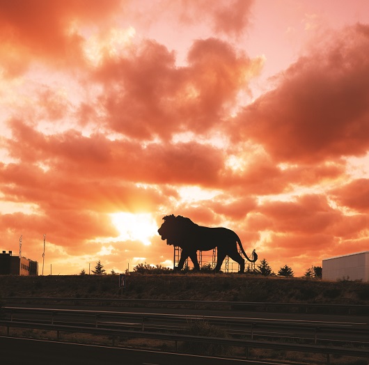 Simba es el protagonista de la valla Simba es el protagonista de la valla