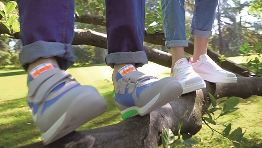 El sector de calzado crece (sobre todo en internet) | Investigación