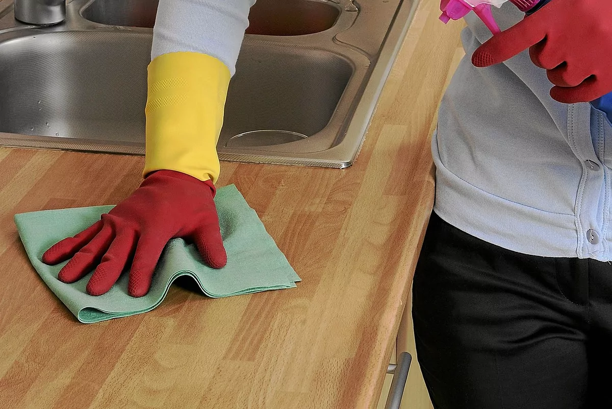 El Gobierno ya ha aprobado 43.600 subsidios para empleadas de hogar