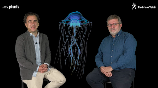 Esta herramienta evitará que tu empresa tenga fatiga pandémica