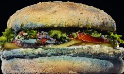 Burger King y su campaña del Whopper mohoso triunfan en El Sol