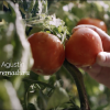 Nuevo posicionamiento de Helios centrado en el origen local de sus ingredientes