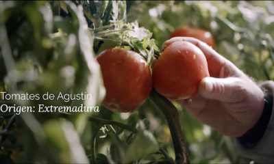 Nuevo posicionamiento de Helios centrado en el origen local de sus ingredientes