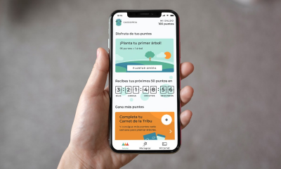 Una 'start up' permite al usuario transformar datos en árboles