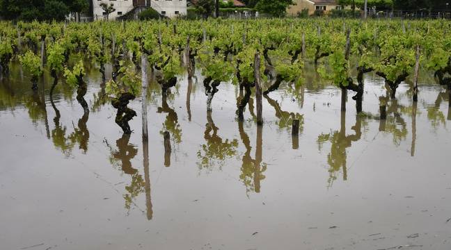 « Il faut vivre avec ce risque inondation », estime la maire d’une commune en première ligne