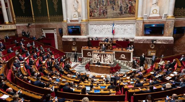 « Pour un vrai débat sans filtre », des députés vont lancer 80 heures de live sur Twitch