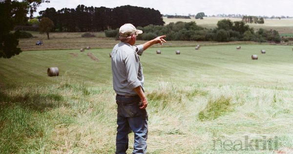 «Ψίχουλα» από τη νέα ΚΑΠ για τους παραγωγούς - Οικονομία Ελλάδα