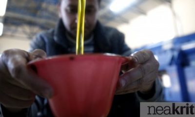 Κρητικό ελαιόλαδο: «Φως στον ορίζοντα» - Μικρή ανάκαμψη στις τιμές - Οικονομία Ελλάδα