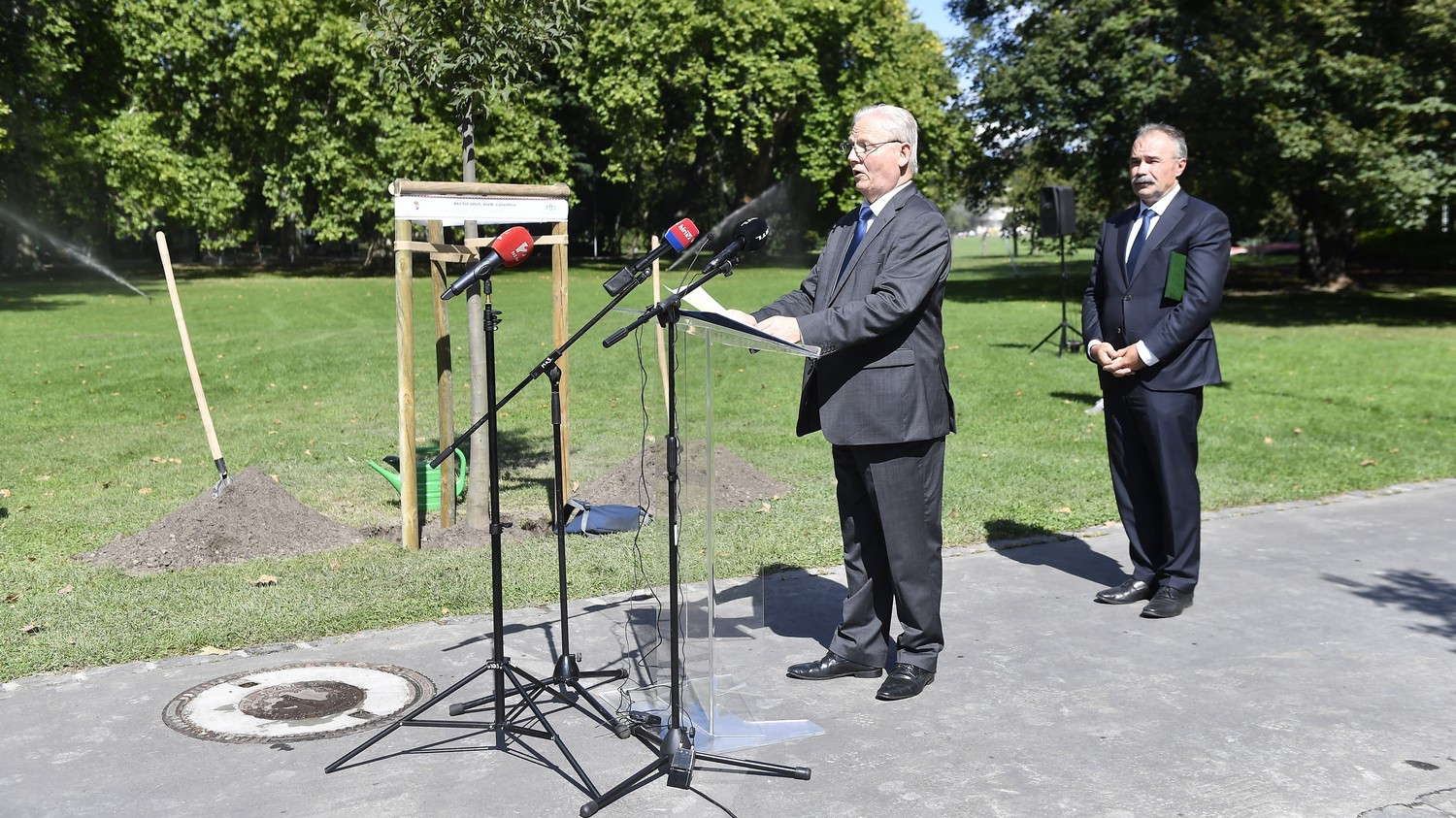 Elültették a fővárosi fatelepítési program tízezredik fáját