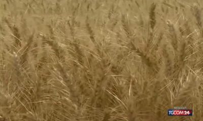 finora l'agricoltura ha subito oltre 1 miliardo di danni