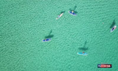 ripresa turismo in alto mare, pesa variante Delta
