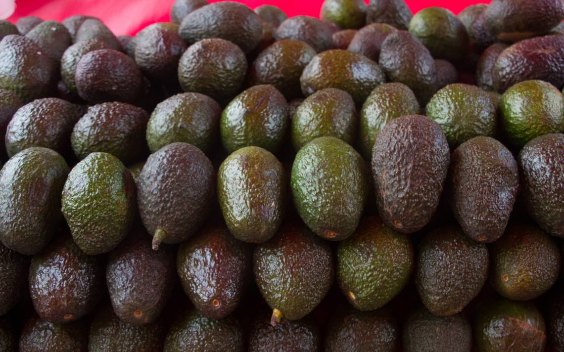Precio del aguacate sube a 80 pesos por kilo en CDMX