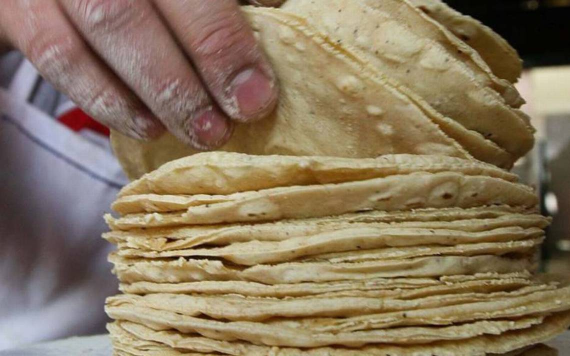 Tortillas y pan subirán de precios por castigo de Trump, alertan campesinos