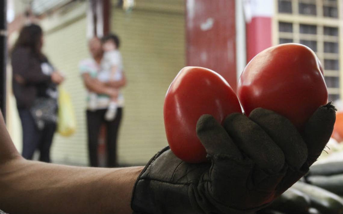 Buscan mercados alternativos para exportación de jitomate por arancel de EU