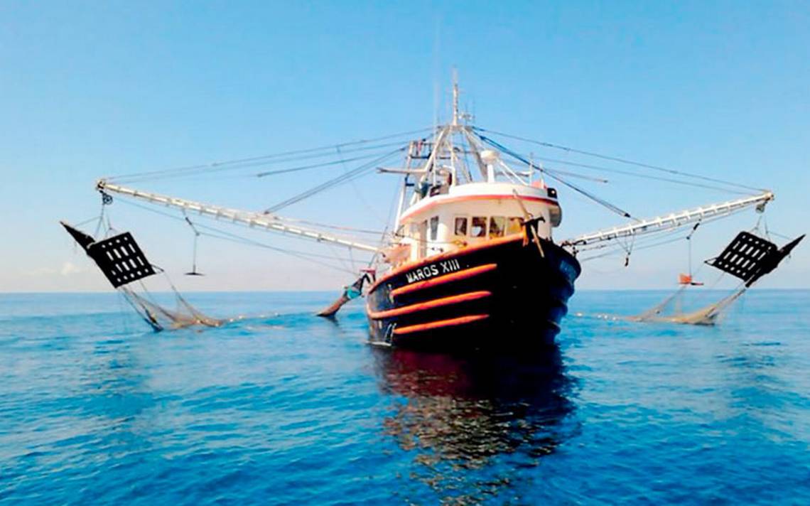 Explotación pesquera, a ciegas por opacidad