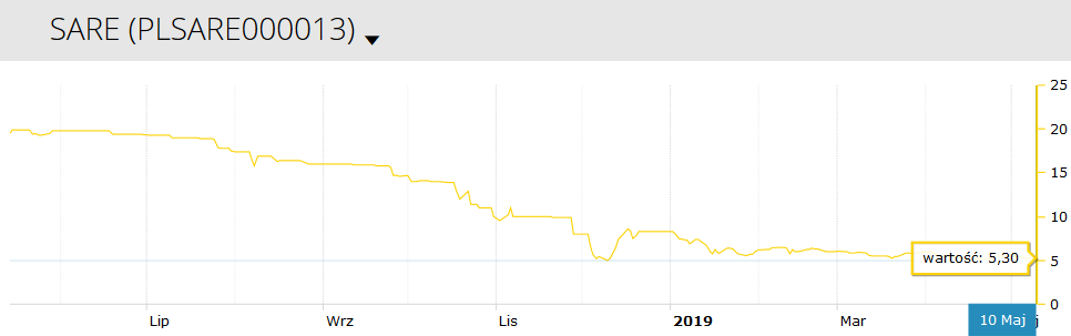 Grupa Sare: wyniki w 2019 roku