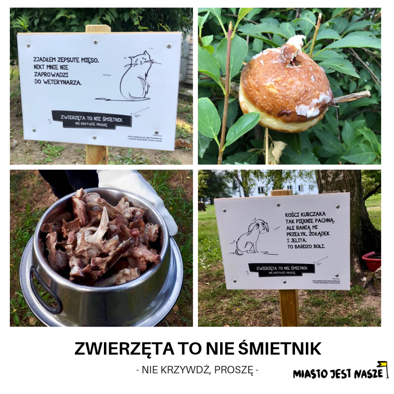 Miasto Jest Nasze z akcją przeciw dokarmianiu zwierząt w Warszawie