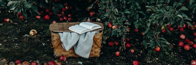 Article