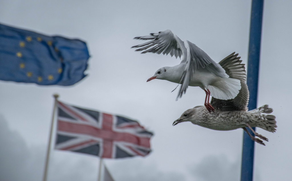 Bancos e fundos britânicos têm um ano para pedir licença ou sair de Portugal - ZAP