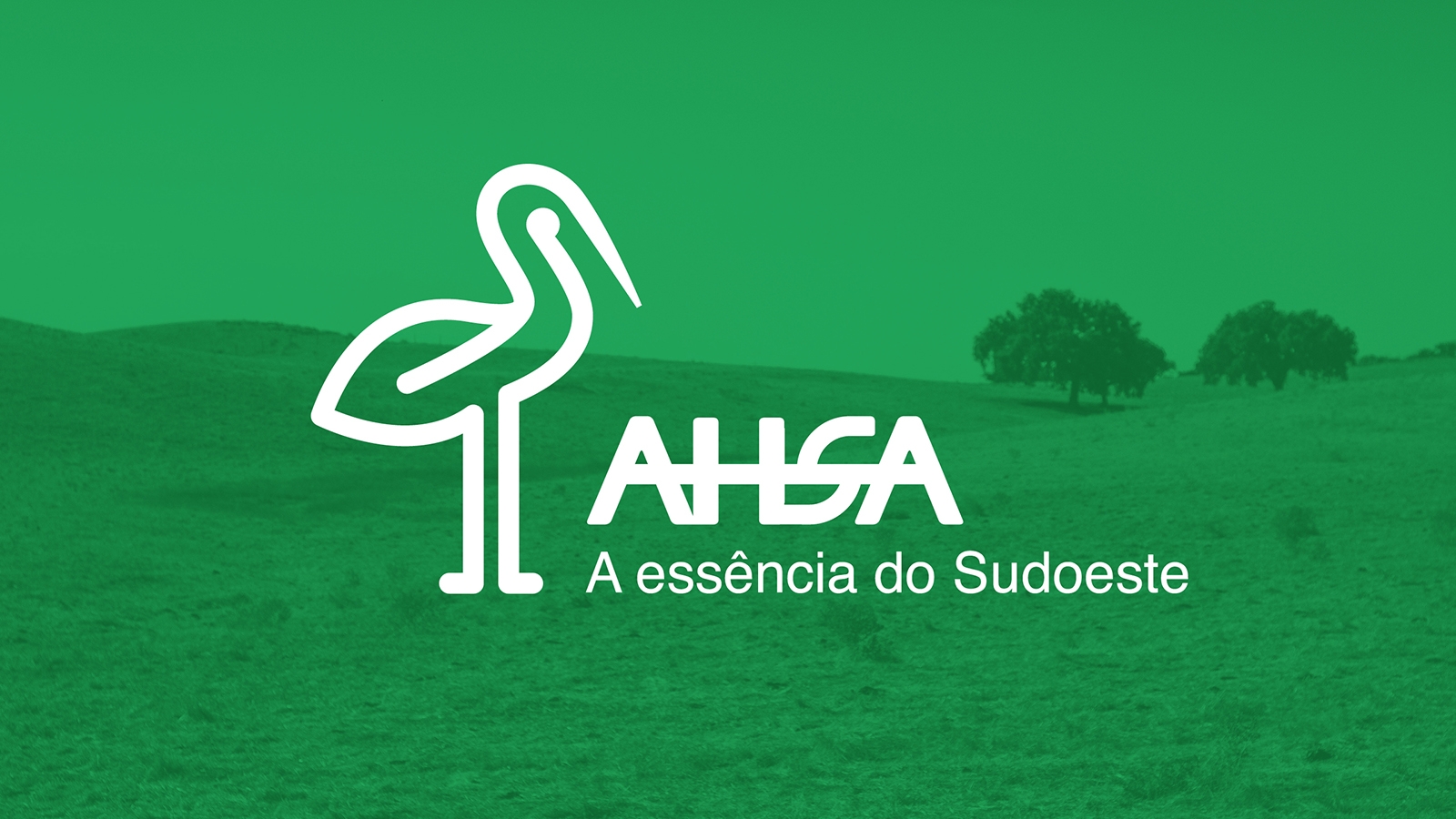 AHSA_Nova imagem