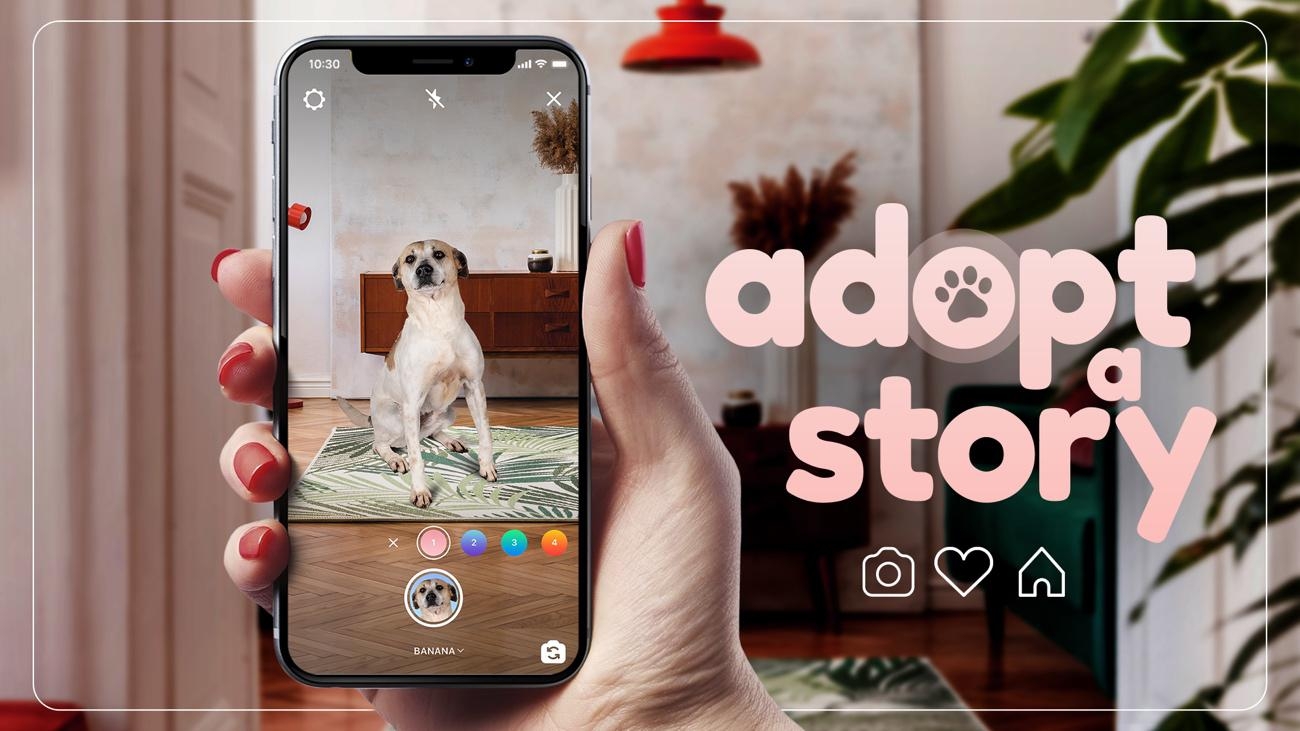 Adopt a Story