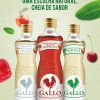 WSA trabalha vinagres Gallo - Meios & Publicidade