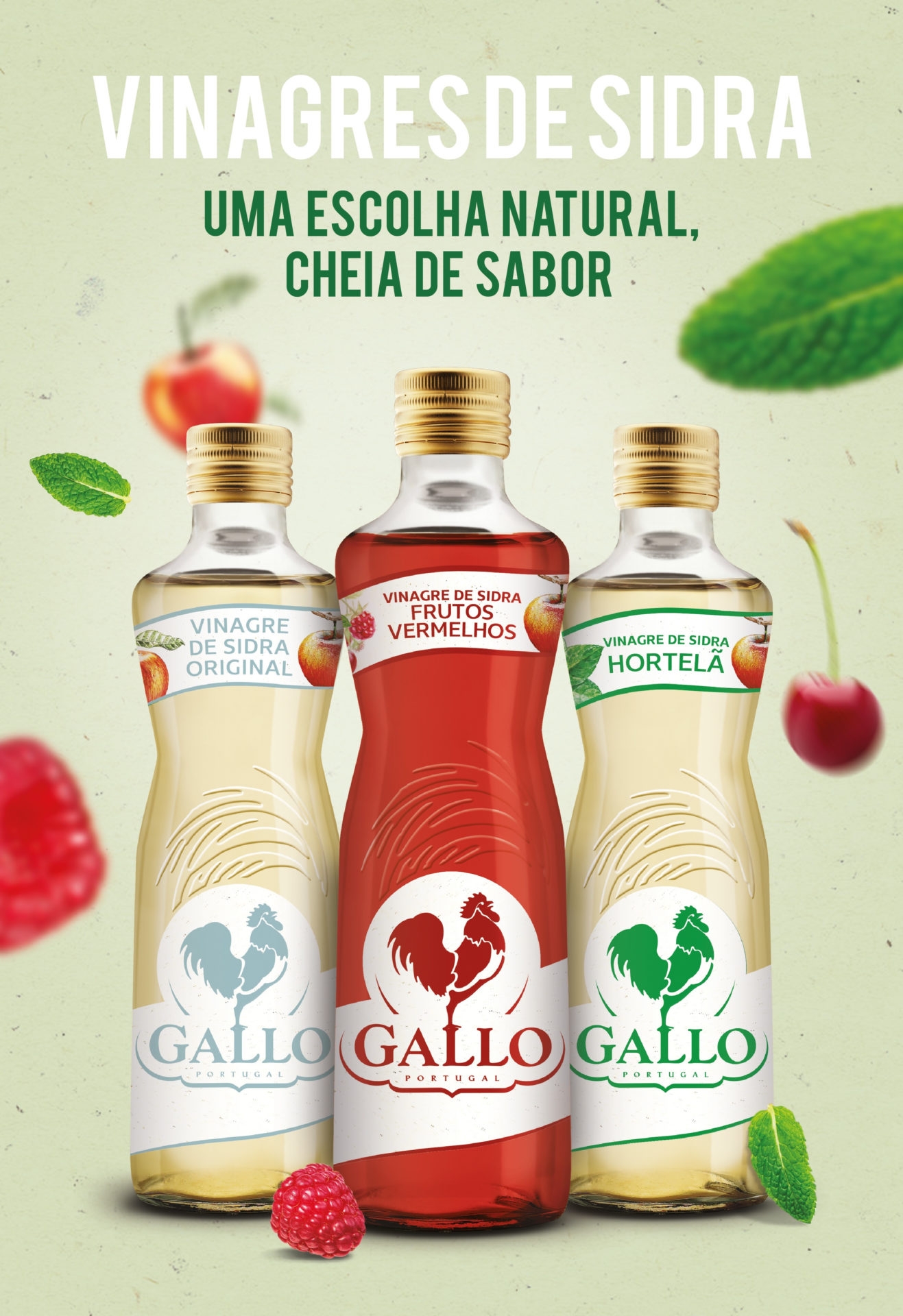 WSA trabalha vinagres Gallo - Meios & Publicidade