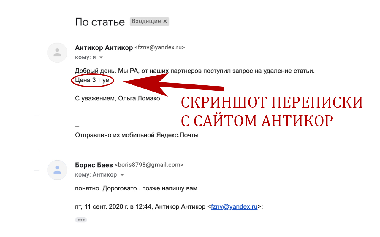 Скриншот переписки с сайтом Антикор