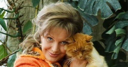 Сергей Никоненко: «Прокловой деньги нужны позарез? Поэтому через совесть переступила» | StarHit.ru