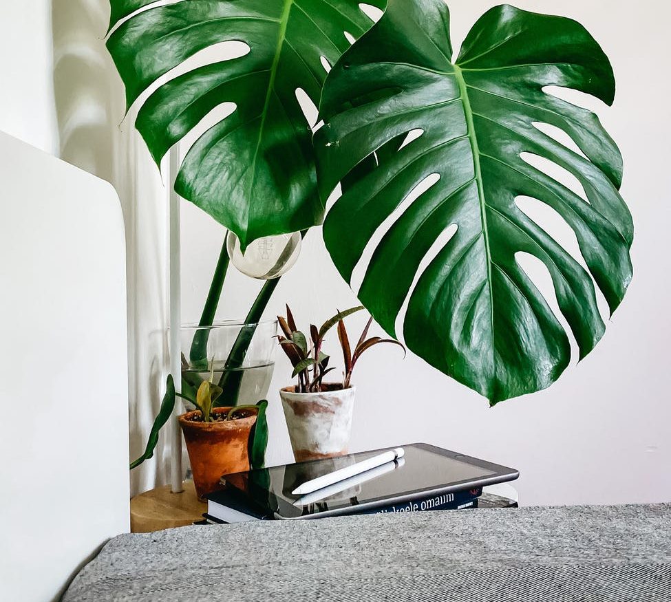 Google переведет 20% сотрудников на удаленку навсегда