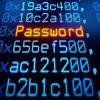 Password
