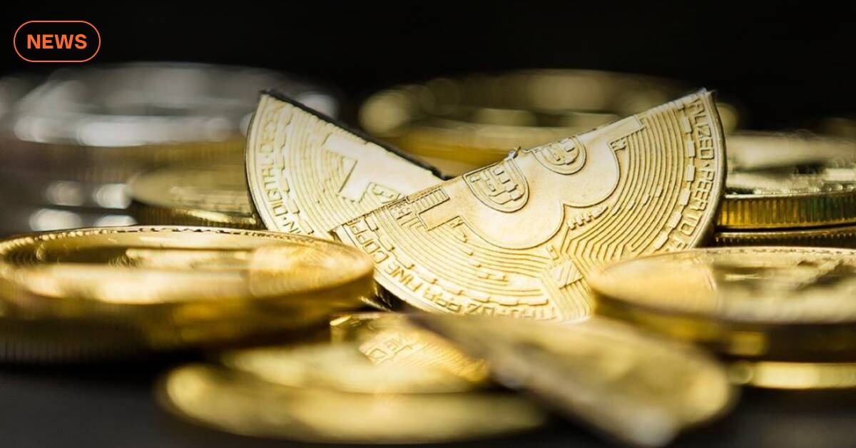 Полиция разоблачила криптоферму с оборудованием на 4 млн грн