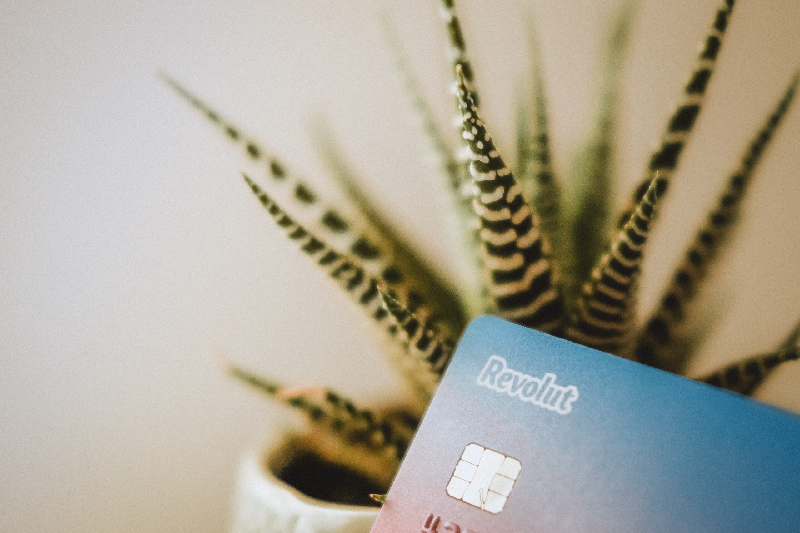 Revolut стал доступен украинцам в ЕС. Как открыть счет?