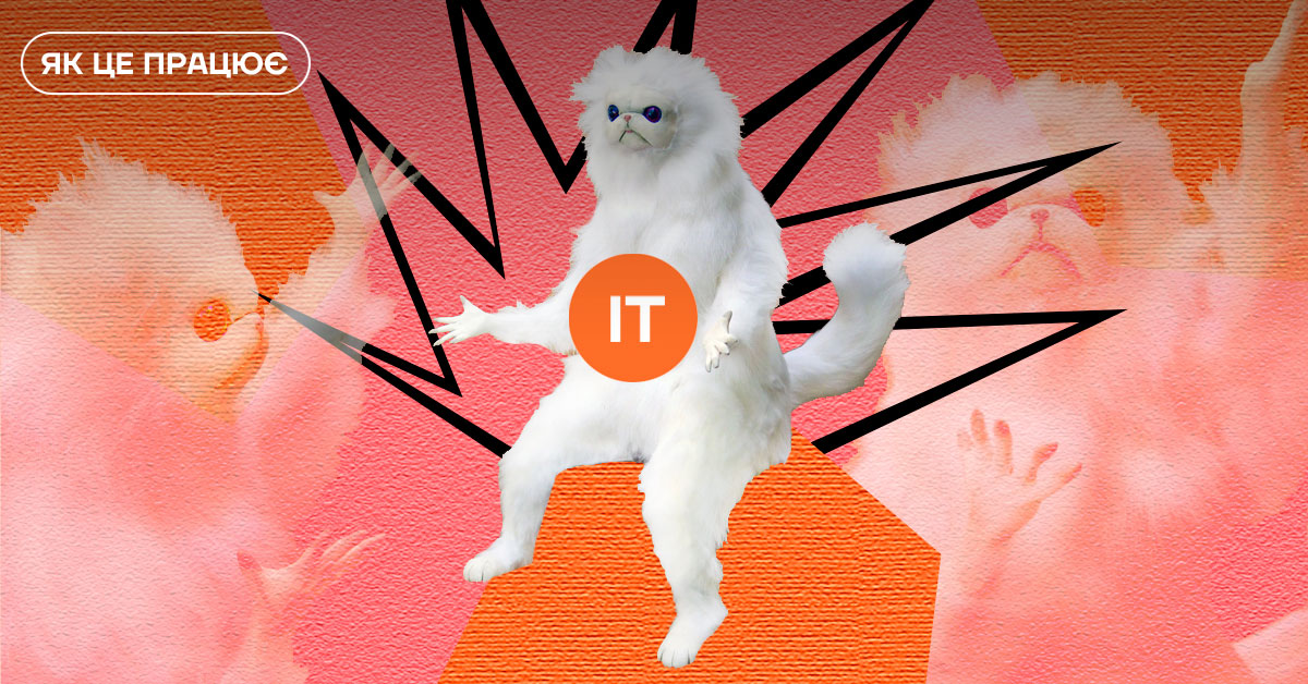 Управлять хаосом командной работы. Чем занимается проектный менеджер в IT и как им стать (курсы, советы, книги)