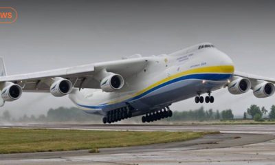 Мошенники организовали фейковый сбор для возобновления «Мрії»