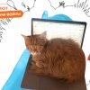 Мощная поддержка коммьюнити. Как фриланс-платформа Fiverr работает во время войны