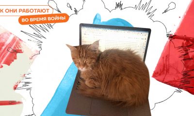 Мощная поддержка коммьюнити. Как фриланс-платформа Fiverr работает во время войны